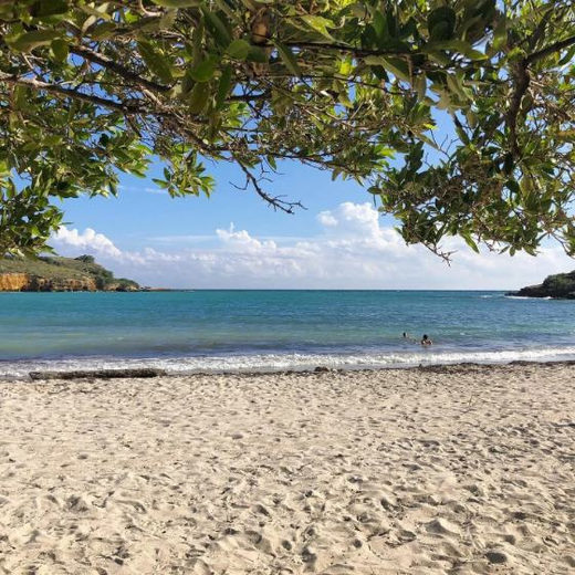 A quiet beach framed by overhanging branches, turquoise water ahead.